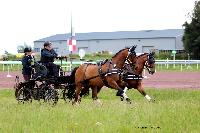 Photo n° 47450
CAIP LISEUX 2019

Affichée 10 fois
Ajoutée le 15/05/2019 15:20:21 par JeanClaudeGrognet

--> Cliquer pour agrandir <--