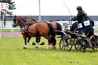 Photo n 47455&#10;CAIP LISEUX 2019&#10;&#10;Affiche 8 fois&#10;Ajoute le 15/05/2019 15:20:22 par JeanClaudeGrognet&#10;&#10;--> Cliquer pour agrandir <--