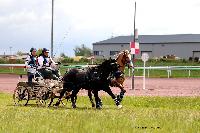 Photo n° 47456
CAIP LISEUX 2019

Affichée 6 fois
Ajoutée le 15/05/2019 15:20:22 par JeanClaudeGrognet

--> Cliquer pour agrandir <--