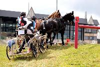 Photo n 47458&#10;CAIP LISEUX 2019&#10;&#10;Affiche 6 fois&#10;Ajoute le 15/05/2019 15:20:22 par JeanClaudeGrognet&#10;&#10;--> Cliquer pour agrandir <--