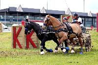 Photo n 47459&#10;CAIP LISEUX 2019&#10;&#10;Affiche 10 fois&#10;Ajoute le 15/05/2019 15:20:22 par JeanClaudeGrognet&#10;&#10;--> Cliquer pour agrandir <--
