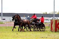 Photo n° 47465
CAIP LISEUX 2019

Affichée 7 fois
Ajoutée le 15/05/2019 15:20:22 par JeanClaudeGrognet

--> Cliquer pour agrandir <--