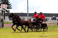 Photo n° 47466
CAIP LISEUX 2019

Affichée 6 fois
Ajoutée le 15/05/2019 15:20:22 par JeanClaudeGrognet

--> Cliquer pour agrandir <--