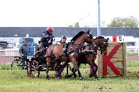 Photo n 47472&#10;CAIP LISEUX 2019&#10;&#10;Affiche 7 fois&#10;Ajoute le 15/05/2019 15:20:22 par JeanClaudeGrognet&#10;&#10;--> Cliquer pour agrandir <--
