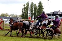 Photo n 47476&#10;CAIP LISEUX 2019&#10;&#10;Affiche 7 fois&#10;Ajoute le 15/05/2019 15:20:23 par JeanClaudeGrognet&#10;&#10;--> Cliquer pour agrandir <--