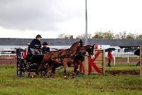 Photo n° 47481
CAIP LISEUX 2019

Affichée 8 fois
Ajoutée le 15/05/2019 15:20:23 par JeanClaudeGrognet

--> Cliquer pour agrandir <--