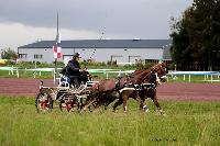 Photo n 47482&#10;CAIP LISEUX 2019&#10;&#10;Affiche 7 fois&#10;Ajoute le 15/05/2019 15:20:23 par JeanClaudeGrognet&#10;&#10;--> Cliquer pour agrandir <--