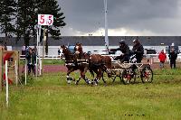 Photo n 47486&#10;CAIP LISEUX 2019&#10;&#10;Affiche 9 fois&#10;Ajoute le 15/05/2019 15:20:23 par JeanClaudeGrognet&#10;&#10;--> Cliquer pour agrandir <--