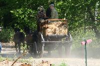 Photo n 47545&#10;CUTS-COMPIEGNE le camion d'Emmanuel Vantroys&#10;photo Pixel Visuel&#10;Affiche 7 fois&#10;Ajoute le 03/06/2019 17:11:34 par JeanClaudeGrognet&#10;&#10;--> Cliquer pour agrandir <--