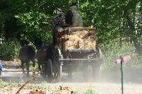 Photo n° 47545
CUTS-COMPIEGNE le camion d'Emmanuel Vantroys
photo Pixel Visuel
Affichée 4 fois
Ajoutée le 03/06/2019 17:11:34 par JeanClaudeGrognet

--> Cliquer pour agrandir <--