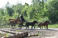 Photo n 47548&#10;CUTS-COMPIEGNE le camion d'Emmanuel Vantroys&#10;photo Pixel Visuel&#10;Affiche 10 fois&#10;Ajoute le 03/06/2019 17:11:34 par JeanClaudeGrognet&#10;&#10;--> Cliquer pour agrandir <--