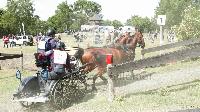 Photo n 47850&#10;SAUMUR 2019 photo Mlanie Guillamot mgpy.live&#10;&#10;Affiche 7 fois&#10;Ajoute le 12/06/2019 07:51:27 par JeanClaudeGrognet&#10;&#10;--> Cliquer pour agrandir <--