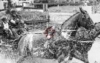 Photo n 47857&#10;SAUMUR 2019 photo Mlanie Guillamot mgpy.live&#10;&#10;Affiche 10 fois&#10;Ajoute le 12/06/2019 07:51:27 par JeanClaudeGrognet&#10;&#10;--> Cliquer pour agrandir <--