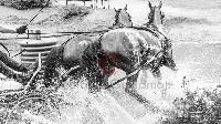 Photo n 47858&#10;SAUMUR 2019 photo Mlanie Guillamot mgpy.live&#10;&#10;Affiche 7 fois&#10;Ajoute le 12/06/2019 07:51:27 par JeanClaudeGrognet&#10;&#10;--> Cliquer pour agrandir <--