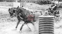 Photo n 47860&#10;SAUMUR 2019 photo Mlanie Guillamot mgpy.live&#10;&#10;Affiche 9 fois&#10;Ajoute le 12/06/2019 07:51:27 par JeanClaudeGrognet&#10;&#10;--> Cliquer pour agrandir <--