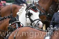 Photo n 47877&#10;SAUMUR 2019 photo Mlanie Guillamot mgpy.live&#10;&#10;Affiche 17 fois&#10;Ajoute le 12/06/2019 07:51:28 par JeanClaudeGrognet&#10;&#10;--> Cliquer pour agrandir <--