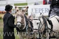 Photo n 47879&#10;SAUMUR 2019 photo Mlanie Guillamot mgpy.live&#10;&#10;Affiche 7 fois&#10;Ajoute le 12/06/2019 07:51:28 par JeanClaudeGrognet&#10;&#10;--> Cliquer pour agrandir <--