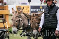 Photo n 47880&#10;SAUMUR 2019 photo Mlanie Guillamot mgpy.live&#10;&#10;Affiche 9 fois&#10;Ajoute le 12/06/2019 07:51:28 par JeanClaudeGrognet&#10;&#10;--> Cliquer pour agrandir <--