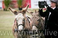 Photo n° 47881
SAUMUR 2019 photo Mélanie Guillamot mgpy.live

Affichée 5 fois
Ajoutée le 12/06/2019 07:51:28 par JeanClaudeGrognet

--> Cliquer pour agrandir <--