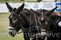 Photo n 47883&#10;SAUMUR 2019 photo Mlanie Guillamot mgpy.live&#10;&#10;Affiche 6 fois&#10;Ajoute le 12/06/2019 07:51:28 par JeanClaudeGrognet&#10;&#10;--> Cliquer pour agrandir <--