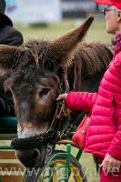 Photo n° 47884
SAUMUR 2019 photo Mélanie Guillamot mgpy.live

Affichée 4 fois
Ajoutée le 12/06/2019 07:51:28 par JeanClaudeGrognet

--> Cliquer pour agrandir <--