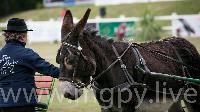 Photo n° 47885
SAUMUR 2019 photo Mélanie Guillamot mgpy.live

Affichée 6 fois
Ajoutée le 12/06/2019 07:51:28 par JeanClaudeGrognet

--> Cliquer pour agrandir <--