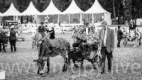 Photo n 47886&#10;SAUMUR 2019 photo Mlanie Guillamot mgpy.live&#10;&#10;Affiche 8 fois&#10;Ajoute le 12/06/2019 07:51:28 par JeanClaudeGrognet&#10;&#10;--> Cliquer pour agrandir <--
