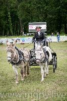 Photo n 47890&#10;SAUMUR 2019 photo Mlanie Guillamot mgpy.live&#10;&#10;Affiche 10 fois&#10;Ajoute le 12/06/2019 07:51:28 par JeanClaudeGrognet&#10;&#10;--> Cliquer pour agrandir <--