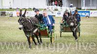 Photo n 47892&#10;SAUMUR 2019 photo Mlanie Guillamot mgpy.live&#10;&#10;Affiche 10 fois&#10;Ajoute le 12/06/2019 07:51:28 par JeanClaudeGrognet&#10;&#10;--> Cliquer pour agrandir <--