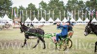 Photo n 47894&#10;SAUMUR 2019 photo Mlanie Guillamot mgpy.live&#10;&#10;Affiche 7 fois&#10;Ajoute le 12/06/2019 07:51:28 par JeanClaudeGrognet&#10;&#10;--> Cliquer pour agrandir <--