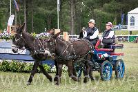 Photo n° 47895
SAUMUR 2019 photo Mélanie Guillamot mgpy.live

Affichée 8 fois
Ajoutée le 12/06/2019 07:51:28 par JeanClaudeGrognet

--> Cliquer pour agrandir <--