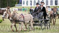Photo n 47896&#10;SAUMUR 2019 photo Mlanie Guillamot mgpy.live&#10;&#10;Affiche 23 fois&#10;Ajoute le 12/06/2019 07:51:29 par JeanClaudeGrognet&#10;&#10;--> Cliquer pour agrandir <--