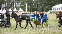 Photo n 47898&#10;SAUMUR 2019 photo Mlanie Guillamot mgpy.live&#10;&#10;Affiche 11 fois&#10;Ajoute le 12/06/2019 07:51:29 par JeanClaudeGrognet&#10;&#10;--> Cliquer pour agrandir <--