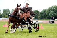 Photo n 47992&#10;LISIEUX. Amateur Juin 2019. Photo N.TOUDIC&#10;David GUERIN&#10;Affiche 22 fois&#10;Ajoute le 17/06/2019 13:13:36 par Nadinetoudic&#10;&#10;--> Cliquer pour agrandir <--