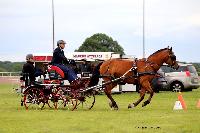 Photo n° 47999
LISIEUX. Amateur Juin 2019. Photo N.TOUDIC
Eric LAVILLE
Affichée 18 fois
Ajoutée le 17/06/2019 13:13:36 par Nadinetoudic

--> Cliquer pour agrandir <--