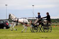 Photo n° 48007
LISIEUX. Amateur Juin 2019. Photo N.TOUDIC
Nathalie MARTY
Affichée 14 fois
Ajoutée le 17/06/2019 13:13:36 par Nadinetoudic

--> Cliquer pour agrandir <--