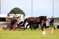 Photo n° 48013
LISIEUX Amateur Juin 2019. Photo N. TOUDIC
Laurence PATRAS
Affichée 10 fois
Ajoutée le 17/06/2019 13:25:25 par Nadinetoudic

--> Cliquer pour agrandir <--