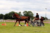 Photo n 48019&#10;LISIEUX Amateur Juin 2019. Photo N. TOUDIC&#10;Philippe THIEBAUT&#10;Affiche 14 fois&#10;Ajoute le 17/06/2019 13:25:25 par Nadinetoudic&#10;&#10;--> Cliquer pour agrandir <--