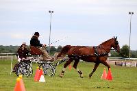 Photo n 48020&#10;LISIEUX Amateur Juin 2019. Photo N. TOUDIC&#10;Philippe THIEBAUT&#10;Affiche 13 fois&#10;Ajoute le 17/06/2019 13:25:25 par Nadinetoudic&#10;&#10;--> Cliquer pour agrandir <--
