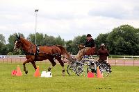 Photo n 48022&#10;LISIEUX Amateur Juin 2019. Photo N. TOUDIC&#10;Philippe THIEBAUT&#10;Affiche 13 fois&#10;Ajoute le 17/06/2019 13:25:25 par Nadinetoudic&#10;&#10;--> Cliquer pour agrandir <--