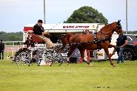 Photo n° 48024
LISIEUX Amateur Juin 2019. Photo N. TOUDIC
Philippe THIEBAUT
Affichée 14 fois
Ajoutée le 17/06/2019 13:25:25 par Nadinetoudic

--> Cliquer pour agrandir <--