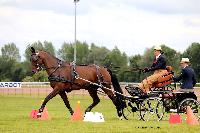 Photo n 48033&#10;LISIEUX Amateur Juin 2019. Photo N. TOUDIC&#10;Isabelle VIX&#10;Affiche 16 fois&#10;Ajoute le 17/06/2019 13:25:25 par Nadinetoudic&#10;&#10;--> Cliquer pour agrandir <--