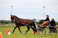 Photo n 48034&#10;LISIEUX Amateur Juin 2019. Photo N. TOUDIC&#10;Isabelle VIX&#10;Affiche 26 fois&#10;Ajoute le 17/06/2019 13:25:26 par Nadinetoudic&#10;&#10;--> Cliquer pour agrandir <--