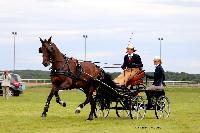 Photo n° 48037
LISIEUX Amateur Juin 2019. Photo N. TOUDIC
Isabelle VIX
Affichée 30 fois
Ajoutée le 17/06/2019 13:25:26 par Nadinetoudic

--> Cliquer pour agrandir <--