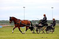 Photo n 48042&#10;LISIEUX Amateur Juin 2019. Photo N. TOUDIC&#10;Yves GIBON&#10;Affiche 19 fois&#10;Ajoute le 17/06/2019 13:25:26 par Nadinetoudic&#10;&#10;--> Cliquer pour agrandir <--
