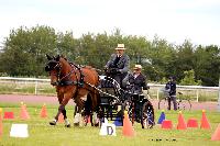 Photo n 48043&#10;LISIEUX Amateur Juin 2019. Photo N. TOUDIC&#10;Yves GIBON&#10;Affiche 15 fois&#10;Ajoute le 17/06/2019 13:25:26 par Nadinetoudic&#10;&#10;--> Cliquer pour agrandir <--