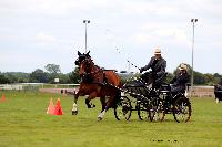 Photo n 48044&#10;LISIEUX Amateur Juin 2019. Photo N. TOUDIC&#10;Yves GIBON&#10;Affiche 10 fois&#10;Ajoute le 17/06/2019 13:25:26 par Nadinetoudic&#10;&#10;--> Cliquer pour agrandir <--