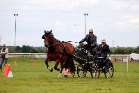 Photo n 48045&#10;LISIEUX Amateur Juin 2019. Photo N. TOUDIC&#10;Yves GIBON&#10;Affiche 9 fois&#10;Ajoute le 17/06/2019 13:25:26 par Nadinetoudic&#10;&#10;--> Cliquer pour agrandir <--