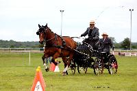 Photo n° 48046
LISIEUX Amateur Juin 2019. Photo N. TOUDIC
Yves GIBON
Affichée 26 fois
Ajoutée le 17/06/2019 13:25:26 par Nadinetoudic

--> Cliquer pour agrandir <--