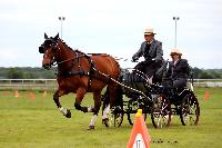 Photo n 48047&#10;LISIEUX Amateur Juin 2019. Photo N. TOUDIC&#10;Yves GIBON&#10;Affiche 19 fois&#10;Ajoute le 17/06/2019 13:25:26 par Nadinetoudic&#10;&#10;--> Cliquer pour agrandir <--